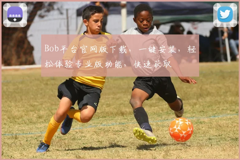 Bob平台官网版下载，一键安装，轻松体验专业版功能，快速获取