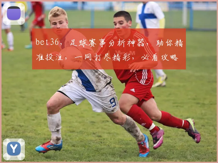 bet36，足球赛事分析神器，助你精准投注，一网打尽精彩，必看攻略